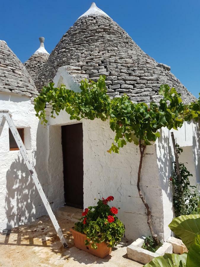 I Trulli Di Nonno Giovanni Alberobello Esterno foto